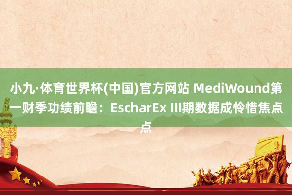 小九·体育世界杯(中国)官方网站 MediWound第一财季功绩前瞻:EscharEx III期数据成怜惜焦点