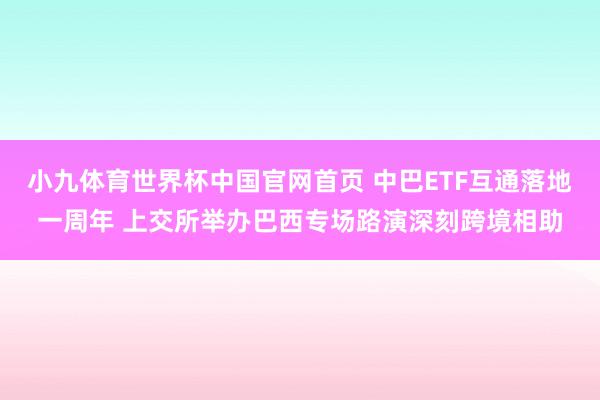 小九体育世界杯中国官网首页 中巴ETF互通落地一周年 上交所举办巴西专场路演深刻跨境相助