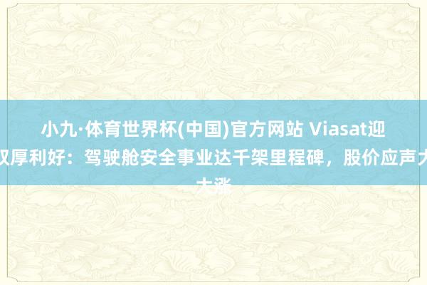 小九·体育世界杯(中国)官方网站 Viasat迎来双厚利好:驾驶舱安全事业达千架里程碑,股价应声大涨