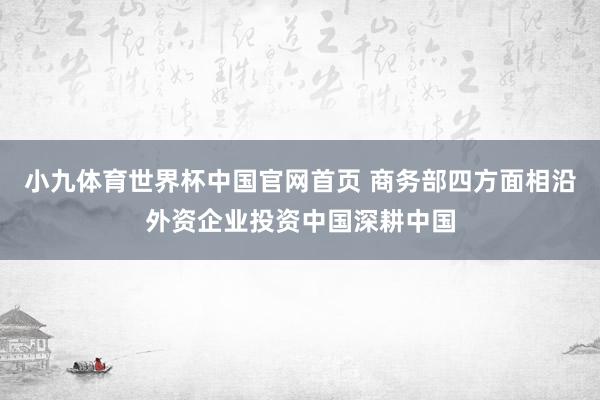 小九体育世界杯中国官网首页 商务部四方面相沿外资企业投资中国深耕中国