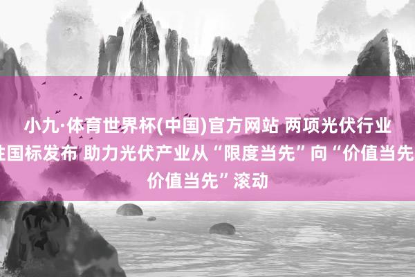 小九·体育世界杯(中国)官方网站 两项光伏行业强制性国标发布 助力光伏产业从“限度当先”向“价值当先”滚动