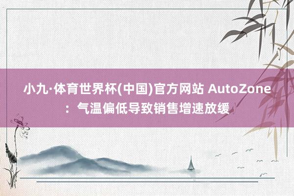 小九·体育世界杯(中国)官方网站 AutoZone:气温偏低导致销售增速放缓
