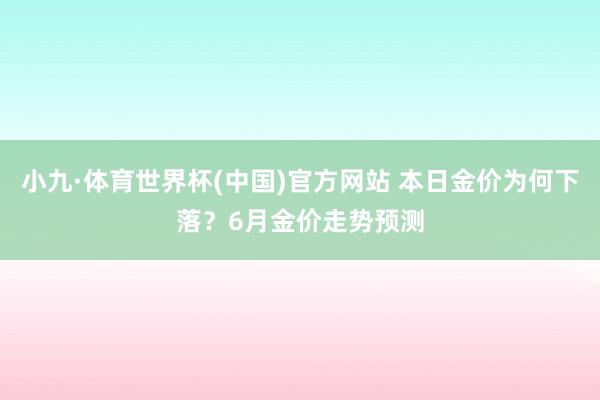 小九·体育世界杯(中国)官方网站 本日金价为何下落?6月金价走势预测