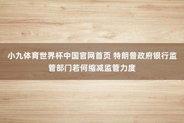 小九体育世界杯中国官网首页 特朗普政府银行监管部门若何缩减监管力度