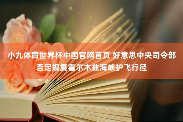 小九体育世界杯中国官网首页 好意思中央司令部否定规复霍尔木兹海峡护飞行径