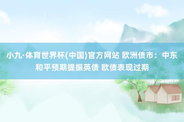 小九·体育世界杯(中国)官方网站 欧洲债市:中东和平预期提振英债 欧债表现过期