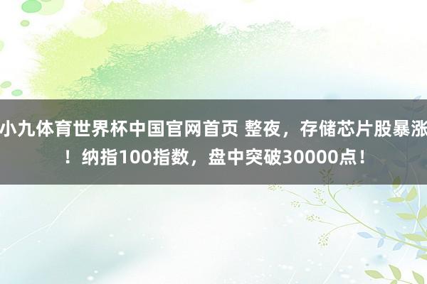 小九体育世界杯中国官网首页 整夜，存储芯片股暴涨！纳指100指数，盘中突破30000点！