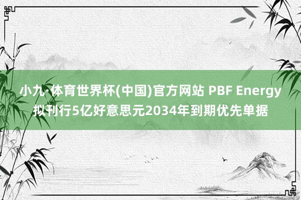 小九·体育世界杯(中国)官方网站 PBF Energy拟刊行5亿好意思元2034年到期优先单据