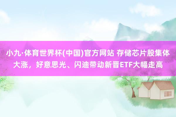 小九·体育世界杯(中国)官方网站 存储芯片股集体大涨，好意思光、闪迪带动新晋ETF大幅走高