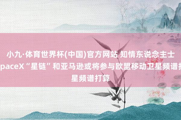 小九·体育世界杯(中国)官方网站 知情东说念主士:SpaceX“星链”和亚马逊或将参与欧盟移动卫星频谱打算