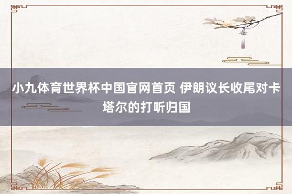 小九体育世界杯中国官网首页 伊朗议长收尾对卡塔尔的打听归国