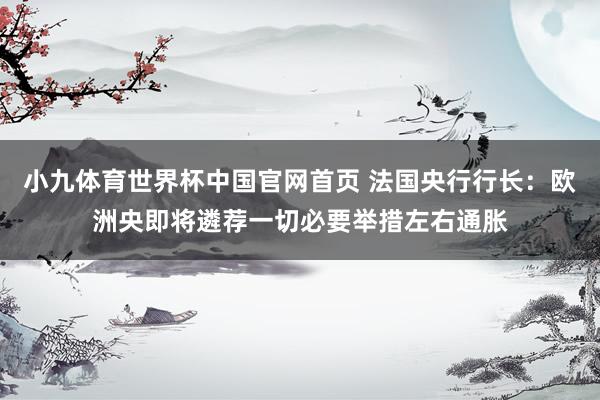 小九体育世界杯中国官网首页 法国央行行长：欧洲央即将遴荐一切必要举措左右通胀
