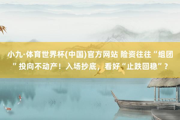 小九·体育世界杯(中国)官方网站 险资往往“组团”投向不动产!入场抄底,看好“止跌回稳”?