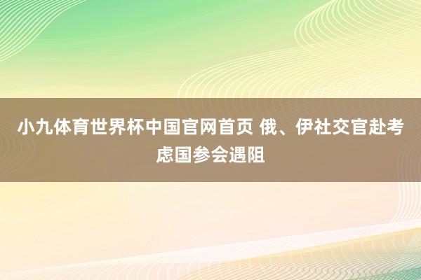 小九体育世界杯中国官网首页 俄、伊社交官赴考虑国参会遇阻