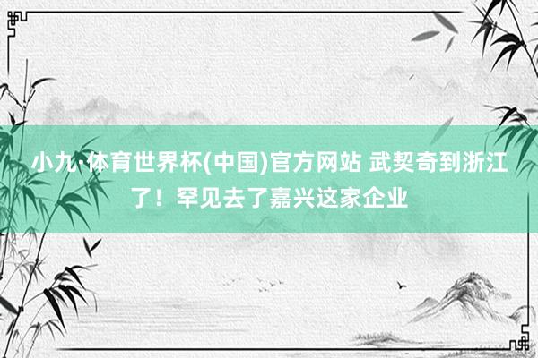 小九·体育世界杯(中国)官方网站 武契奇到浙江了！罕见去了嘉兴这家企业