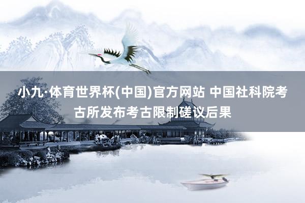 小九·体育世界杯(中国)官方网站 中国社科院考古所发布考古限制磋议后果