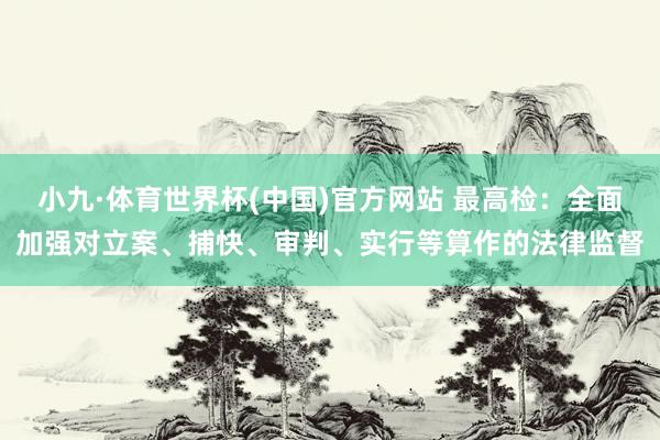 小九·体育世界杯(中国)官方网站 最高检：全面加强对立案、捕快、审判、实行等算作的法律监督