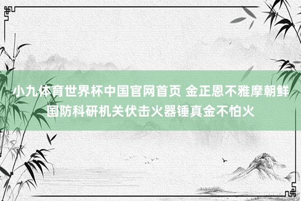 小九体育世界杯中国官网首页 金正恩不雅摩朝鲜国防科研机关伏击火器锤真金不怕火