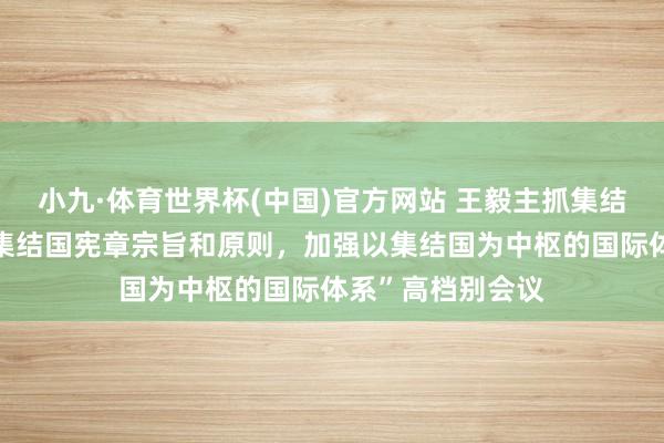 小九·体育世界杯(中国)官方网站 王毅主抓集结国安管待“爱戴集结国宪章宗旨和原则，加强以集结国为中枢的国际体系”高档别会议