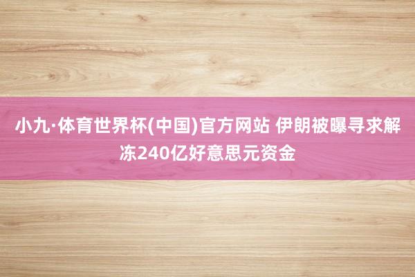 小九·体育世界杯(中国)官方网站 伊朗被曝寻求解冻240亿好意思元资金