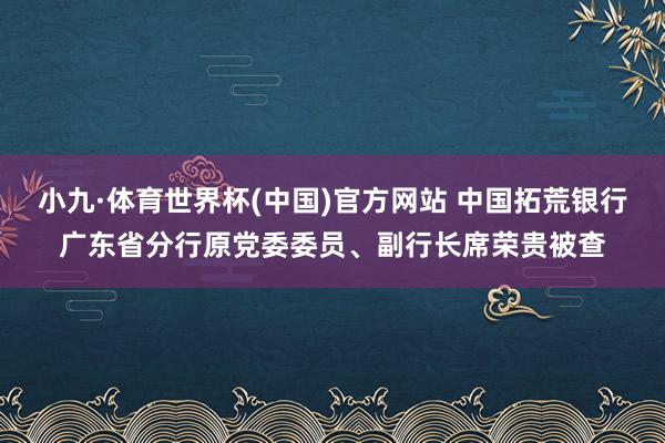 小九·体育世界杯(中国)官方网站 中国拓荒银行广东省分行原党委委员、副行长席荣贵被查
