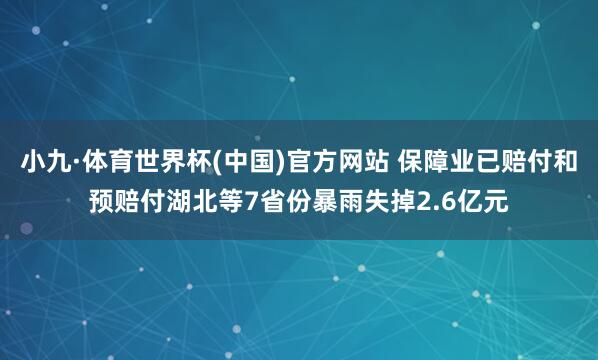 小九·体育世界杯(中国)官方网站 保障业已赔付和预赔付湖北等7省份暴雨失掉2.6亿元
