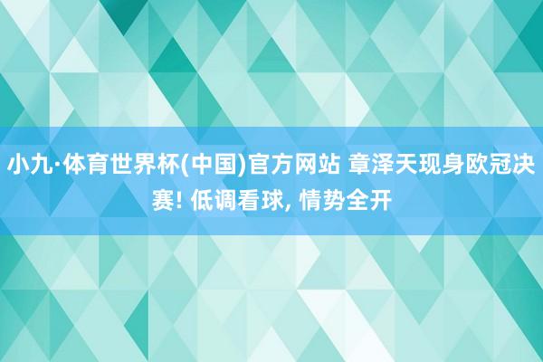 小九·体育世界杯(中国)官方网站 章泽天现身欧冠决赛! 低调看球, 情势全开