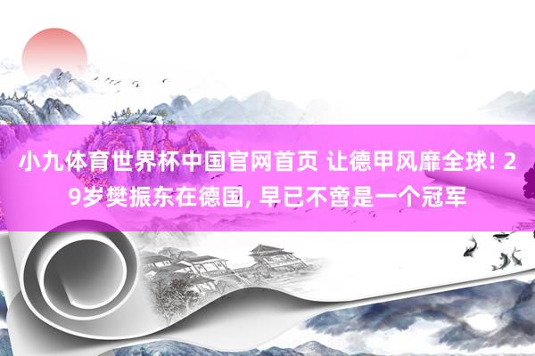 小九体育世界杯中国官网首页 让德甲风靡全球! 29岁樊振东在德国, 早已不啻是一个冠军