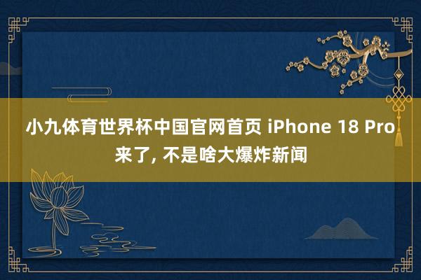 小九体育世界杯中国官网首页 iPhone 18 Pro来了, 不是啥大爆炸新闻