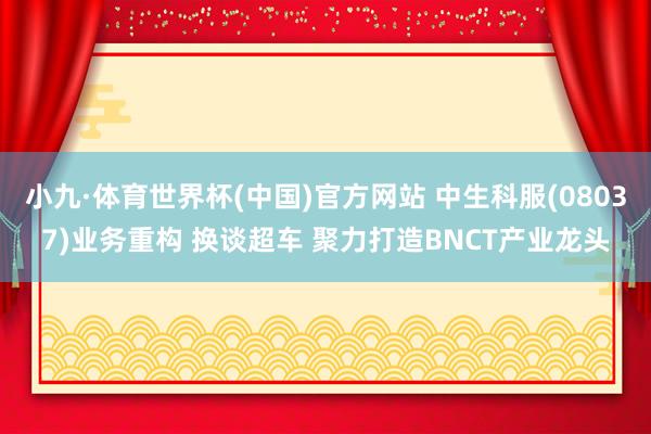 小九·体育世界杯(中国)官方网站 中生科服(08037)业务重构 换谈超车 聚力打造BNCT产业龙头