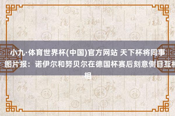小九·体育世界杯(中国)官方网站 天下杯将同事!图片报:诺伊尔和努贝尔在德国杯赛后刻意侧目互相