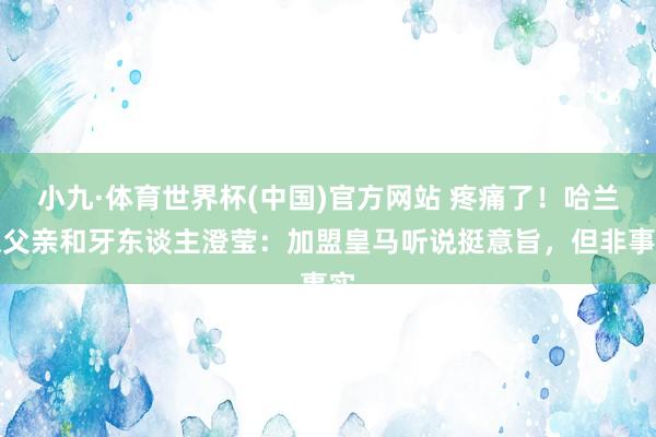 小九·体育世界杯(中国)官方网站 疼痛了！哈兰德父亲和牙东谈主澄莹：加盟皇马听说挺意旨，但非事实