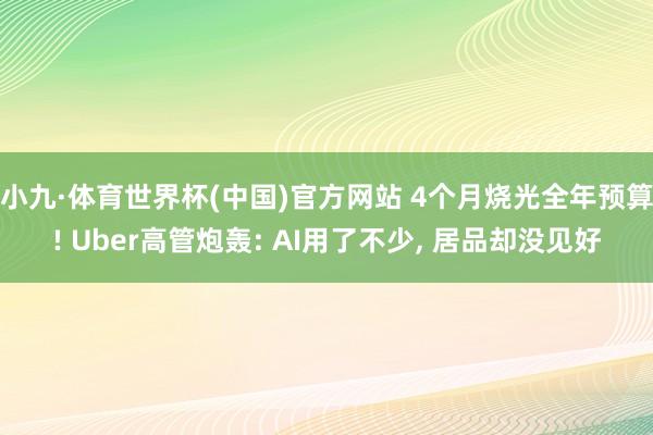 小九·体育世界杯(中国)官方网站 4个月烧光全年预算! Uber高管炮轰: AI用了不少， 居品却没见好