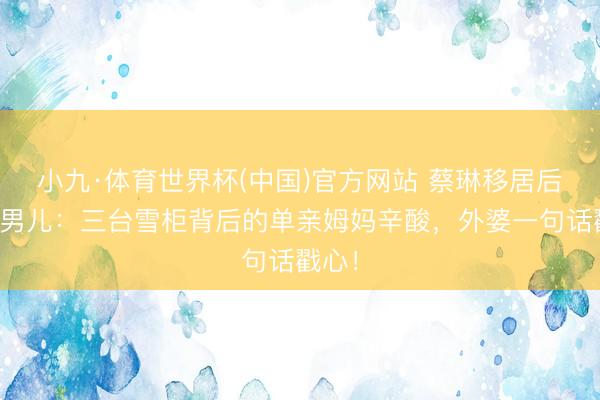 小九·体育世界杯(中国)官方网站 蔡琳移居后独带男儿：三台雪柜背后的单亲姆妈辛酸，外婆一句话戳心！