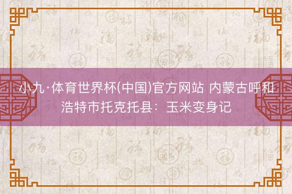 小九·体育世界杯(中国)官方网站 内蒙古呼和浩特市托克托县:玉米变身记