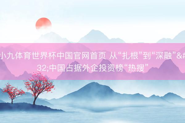 小九体育世界杯中国官网首页 从“扎根”到“深融” 中国占据外企投资榜“热搜”