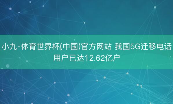 小九·体育世界杯(中国)官方网站 我国5G迁移电话用户已达12.62亿户