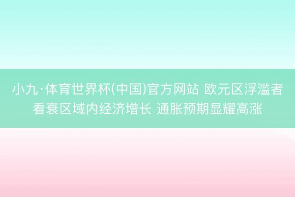 小九·体育世界杯(中国)官方网站 欧元区浮滥者看衰区域内经济增长 通胀预期显耀高涨