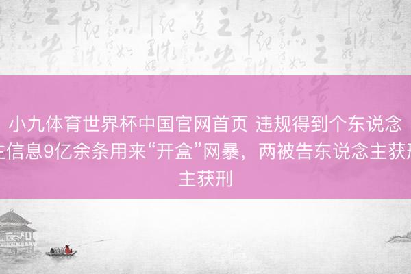 小九体育世界杯中国官网首页 违规得到个东说念主信息9亿余条用来“开盒”网暴，两被告东说念主获刑