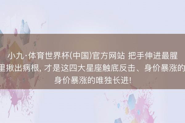小九·体育世界杯(中国)官方网站 把手伸进最腥臭的泥潭里揪出病根， 才是这四大星座触底反击、身价暴涨的唯独长进!