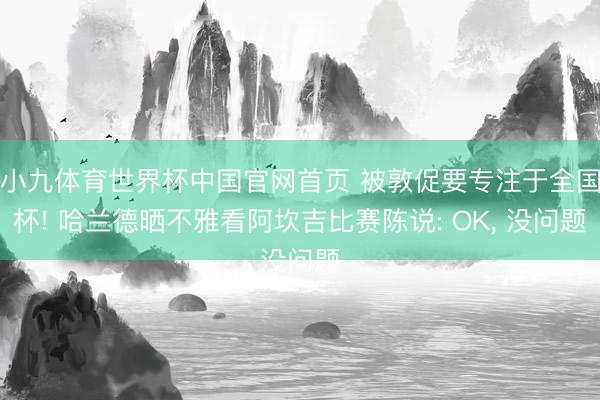 小九体育世界杯中国官网首页 被敦促要专注于全国杯! 哈兰德晒不雅看阿坎吉比赛陈说: OK, 没问题