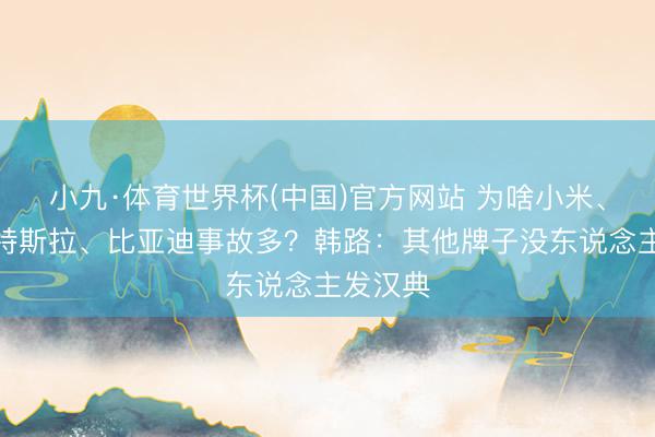 小九·体育世界杯(中国)官方网站 为啥小米、华为、特斯拉、比亚迪事故多？韩路：其他牌子没东说念主发汉典